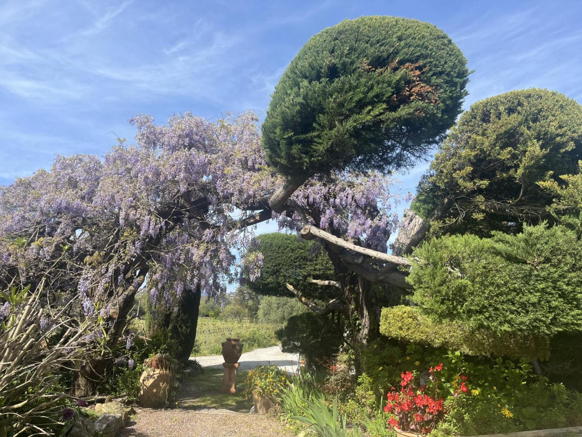 La Maison De Justine Grimaud Buitenkant foto